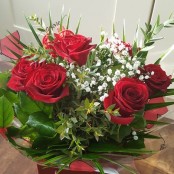 Love for Life 6 Red Roses